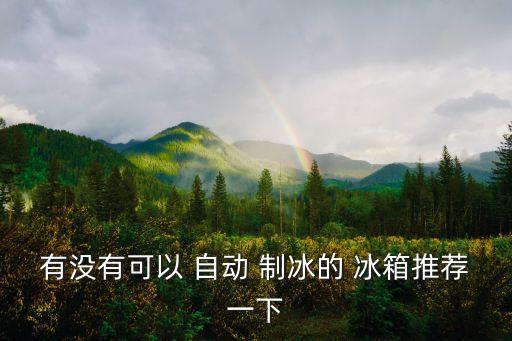 有沒有可以 自動 制冰的 冰箱推薦一下