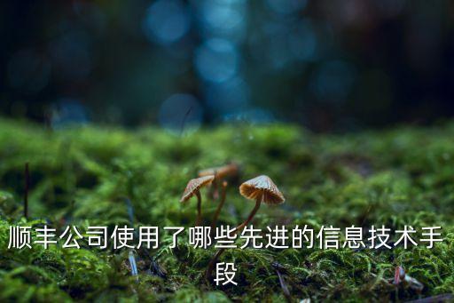 順豐公司使用了哪些先進(jìn)的信息技術(shù)手段