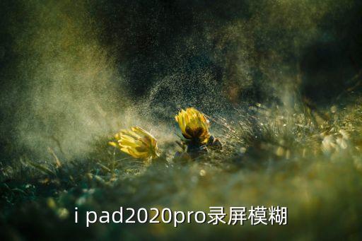 i pad2020pro錄屏模糊