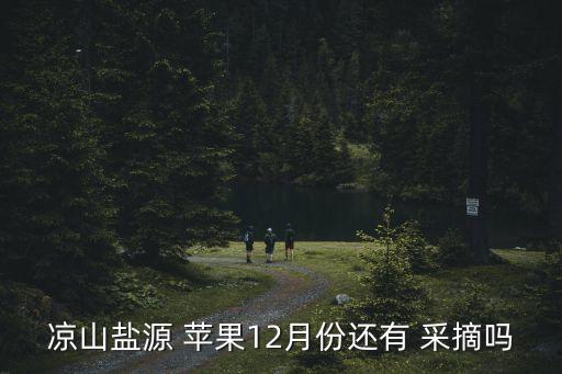 涼山鹽源 蘋果12月份還有 采摘嗎