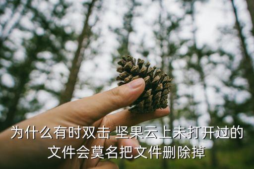 為什么有時雙擊 堅(jiān)果云上未打開過的文件會莫名把文件刪除掉
