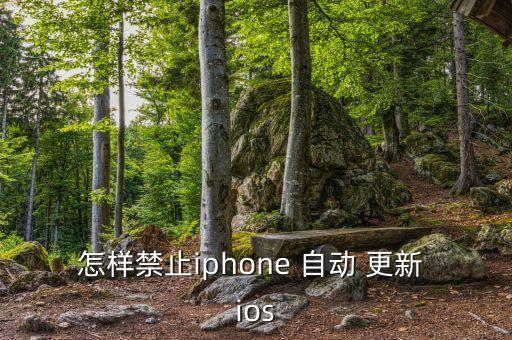阻止ios自動更新,蘋果手機應(yīng)用自動更新關(guān)鍵點擊這里!