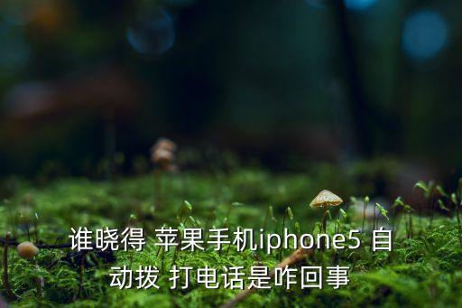 蘋果5自動(dòng)往外打電話,4.充電器電流符合手機(jī)規(guī)格即可使用