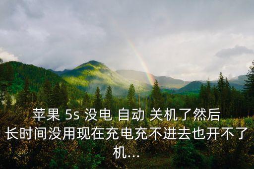 蘋果 5s 沒電 自動 關(guān)機(jī)了然后長時(shí)間沒用現(xiàn)在充電充不進(jìn)去也開不了機(jī)...