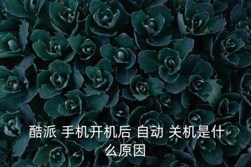 酷派手機自動關(guān)機,手機系統(tǒng)異常引起的故障有哪幾種可能?