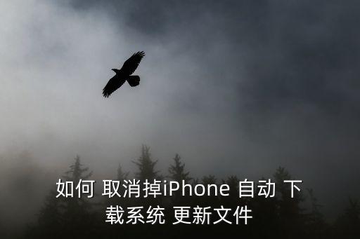 如何 取消掉iPhone 自動(dòng) 下載系統(tǒng) 更新文件