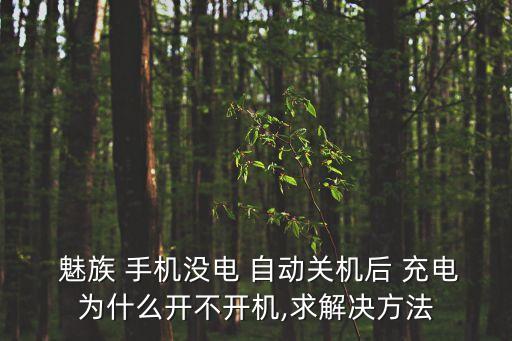  魅族 手機(jī)沒電 自動(dòng)關(guān)機(jī)后 充電為什么開不開機(jī),求解決方法