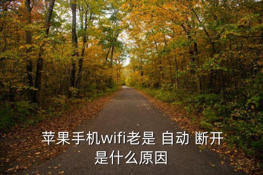  蘋果手機wifi老是 自動 斷開是什么原因