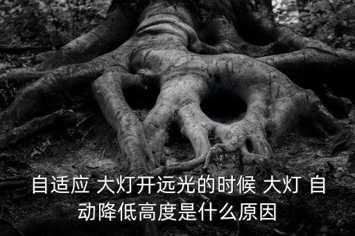 自動(dòng)調(diào)節(jié)大燈調(diào)亂了,汽車如何避免被燒到受傷害?
