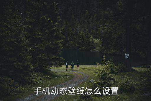  手機動態(tài)壁紙怎么設(shè)置