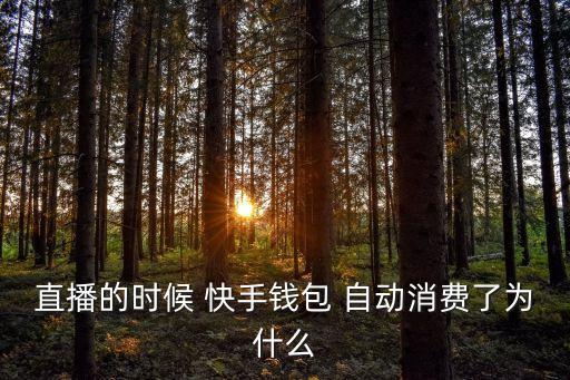 快手自動(dòng)算法什么意思,快手:小游戲自動(dòng)續(xù)費(fèi)已開(kāi)啟