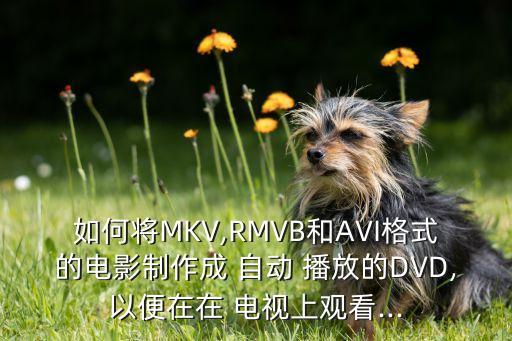 如何將MKV,RMVB和AVI格式的電影制作成 自動 播放的DVD,以便在在 電視上觀看...