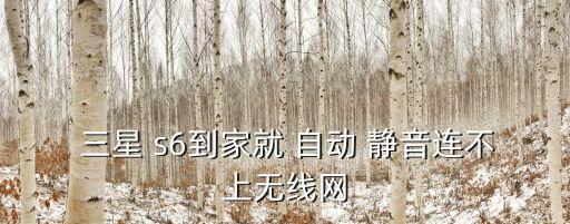  三星 s6到家就 自動(dòng) 靜音連不上無(wú)線網(wǎng)
