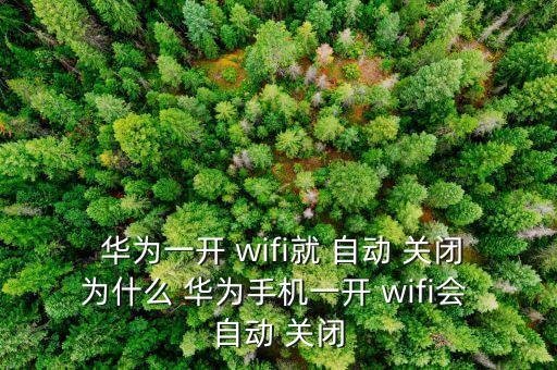  華為一開 wifi就 自動 關閉為什么 華為手機一開 wifi會 自動 關閉