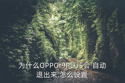 為什么OPPOr9PLUS會 自動退出來,怎么設(shè)置