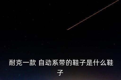  耐克一款 自動(dòng)系帶的鞋子是什么鞋子