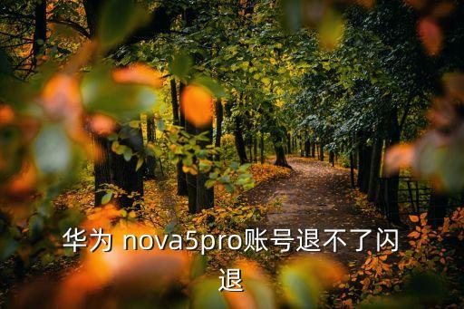 nova托盤(pán)自動(dòng)關(guān)閉,華為nova6如何設(shè)置時(shí)間轉(zhuǎn)轍機(jī)?