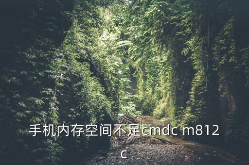 m812c自動下載軟件,如何下載騰訊手機管家?一文看懂