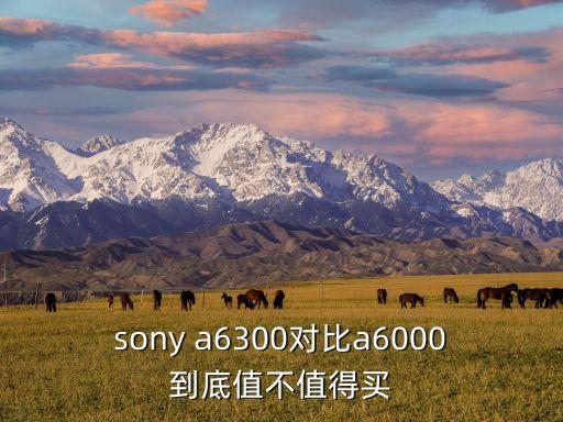 sony a6300對(duì)比a6000到底值不值得買