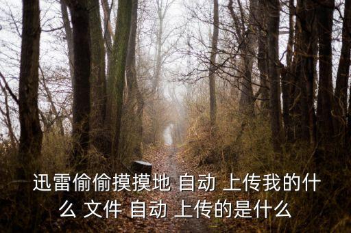  迅雷偷偷摸摸地 自動 上傳我的什么 文件 自動 上傳的是什么