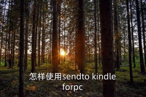 kindle 自動(dòng)登錄,亞馬遜中國(guó)目前只支持兩款設(shè)備