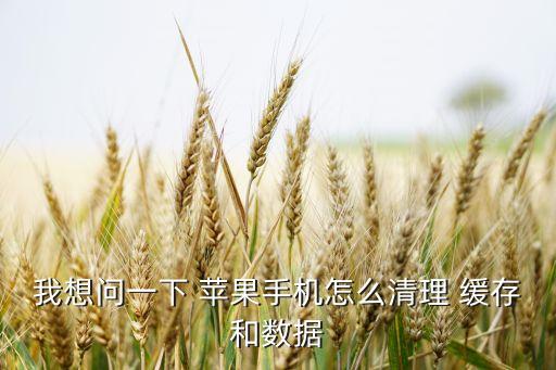 我想問一下 蘋果手機(jī)怎么清理 緩存和數(shù)據(jù)