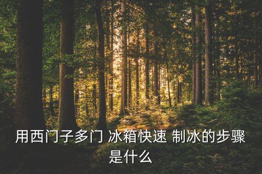 用西門子多門 冰箱快速 制冰的步驟是什么