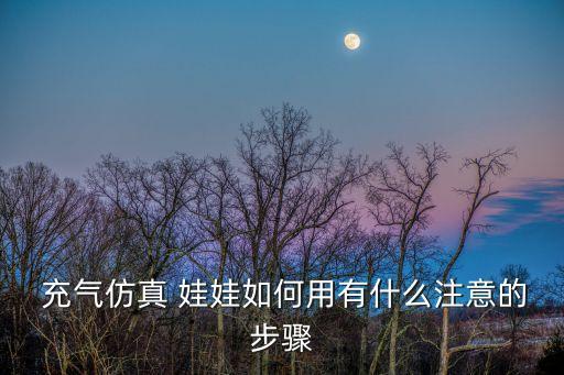 智能自動充氣真娃娃,中國充氣娃娃真人實體女無毛