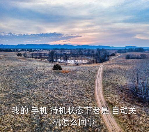 我的 手機 待機狀態(tài)下老是 自動關機怎么回事
