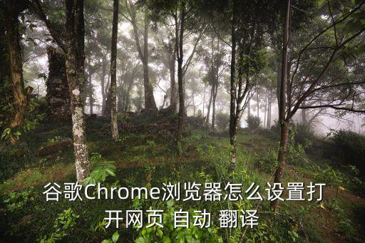 谷歌怎么自動翻譯,如何使用谷歌browser翻譯網(wǎng)頁內(nèi)容
