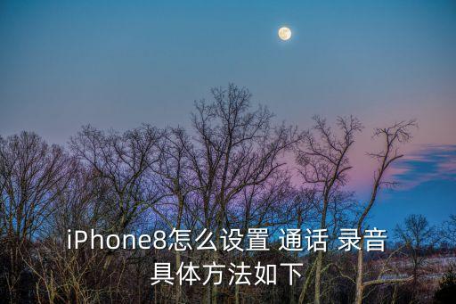 iPhone8怎么設置 通話 錄音具體方法如下