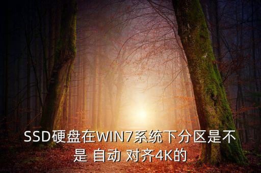 自動(dòng)對(duì)齊4k,4k對(duì)齊不能用第三方工具實(shí)現(xiàn)