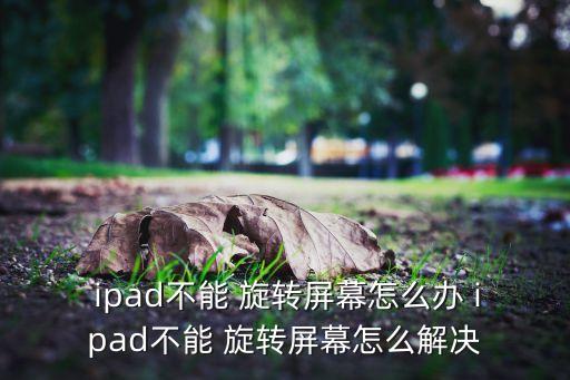  ipad不能 旋轉(zhuǎn)屏幕怎么辦 ipad不能 旋轉(zhuǎn)屏幕怎么解決