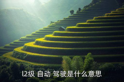 l2級 自動 駕駛是什么意思