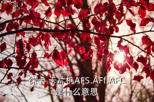 卡片機自動對焦輔助光,aff靈活自動對焦最適合拍攝靜態(tài)場景