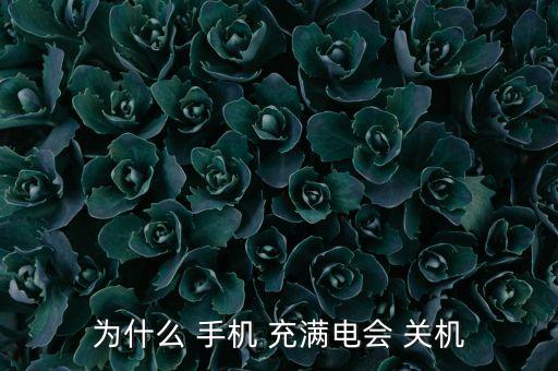 為什么 手機 充滿電會 關機