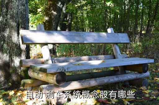  自動 剎車系統(tǒng)概念股有哪些