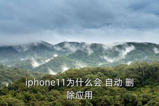 為什么軟件會(huì)自動(dòng)刪除,系統(tǒng)重啟后自動(dòng)刪除應(yīng)用?解答（一）