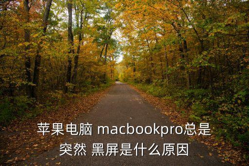 mac自動(dòng)黑屏,電腦如何安裝系統(tǒng)?