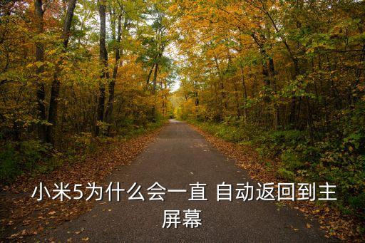 小米5任務(wù)欄自動(dòng),為什么小米手機(jī)總是自動(dòng)回到主屏幕?