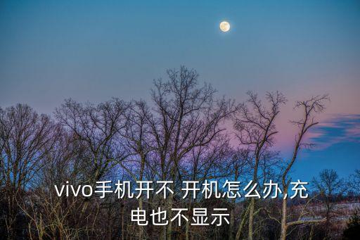  vivo手機開不 開機怎么辦,充電也不顯示