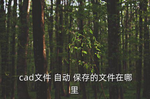  cad文件 自動 保存的文件在哪里