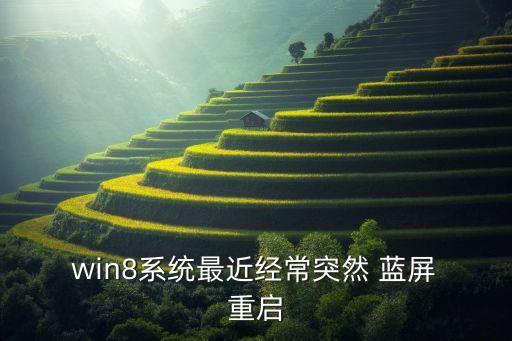  win8系統(tǒng)最近經常突然 藍屏 重啟