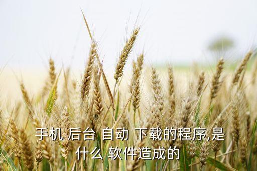  手機(jī) 后臺(tái) 自動(dòng) 下載的程序,是什么 軟件造成的