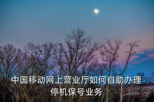  中國移動網(wǎng)上營業(yè)廳如何自助辦理 停機保號業(yè)務