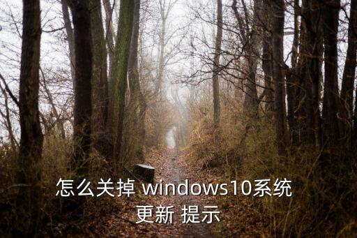 怎么關(guān)掉 windows10系統(tǒng) 更新 提示