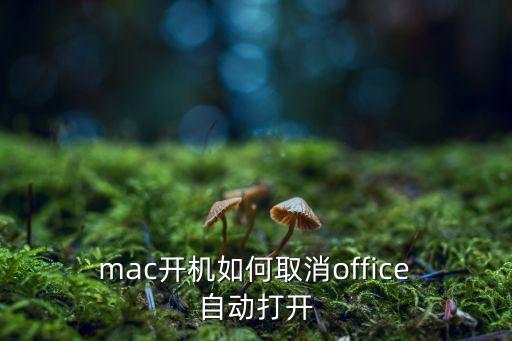 mac開機(jī)如何取消office 自動(dòng)打開