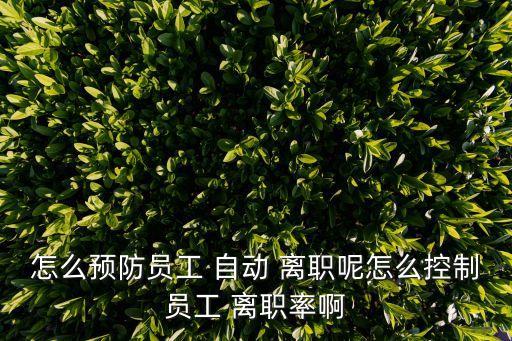 怎么預(yù)防員工 自動(dòng) 離職呢怎么控制員工 離職率啊