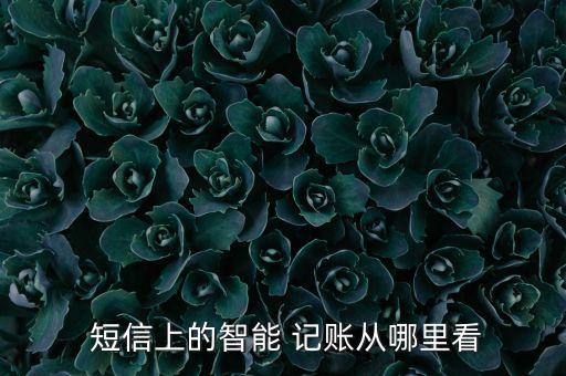  短信上的智能 記賬從哪里看