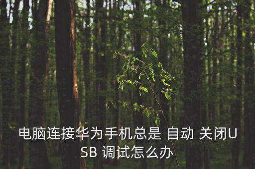 電腦連接華為手機總是 自動 關(guān)閉USB 調(diào)試怎么辦